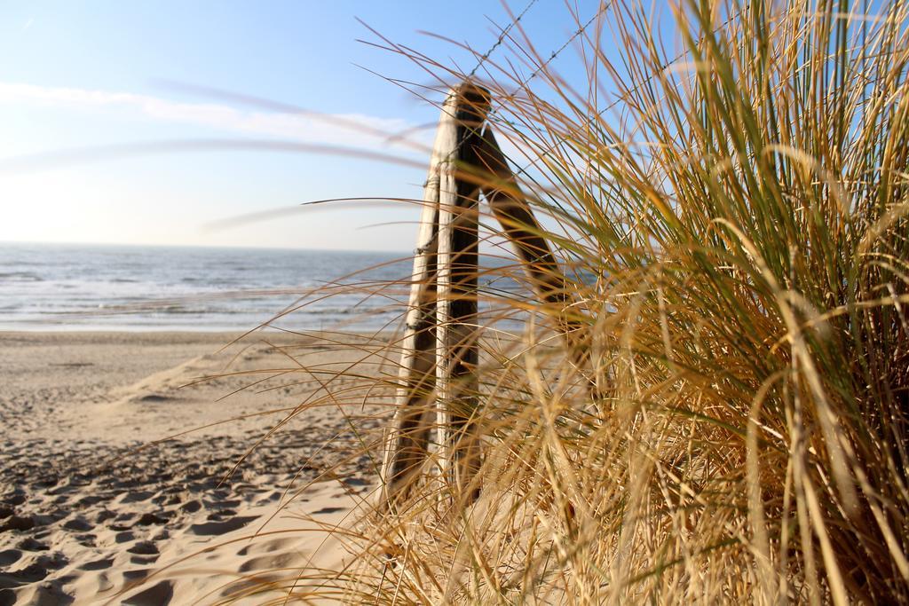 Hofje Van Maas Zandvoort Exteriér fotografie