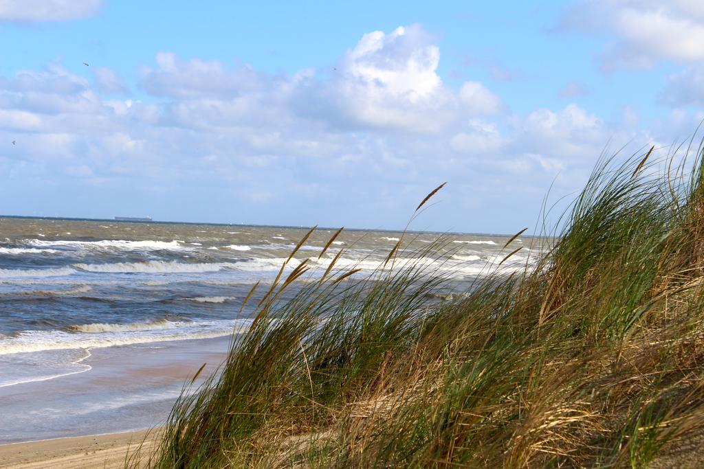Hofje Van Maas Zandvoort Exteriér fotografie